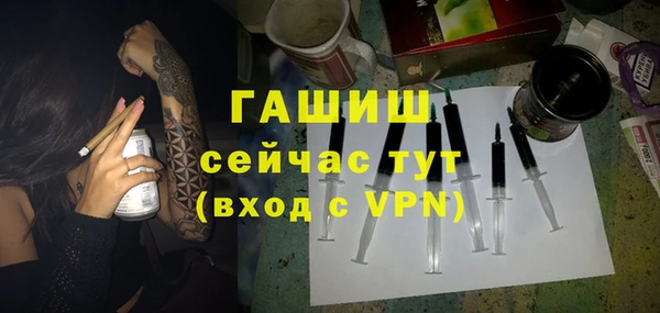 индика Алзамай