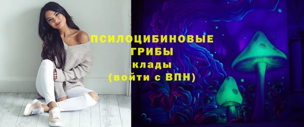 индика Алзамай