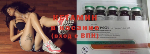 индика Алзамай