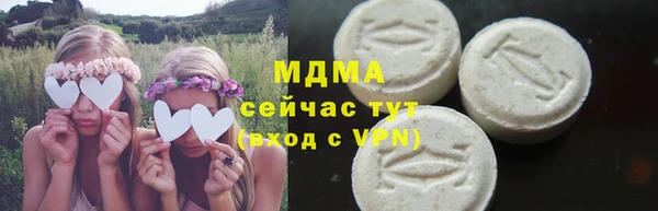 индика Алзамай