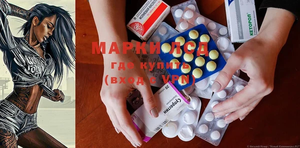 индика Алзамай