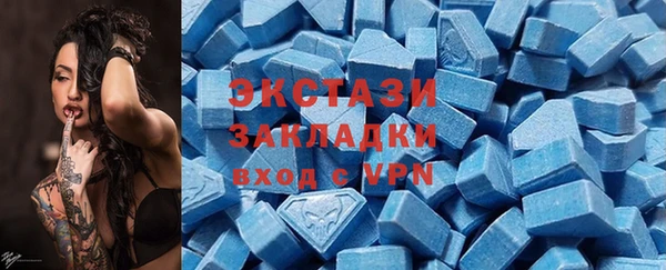 индика Алзамай