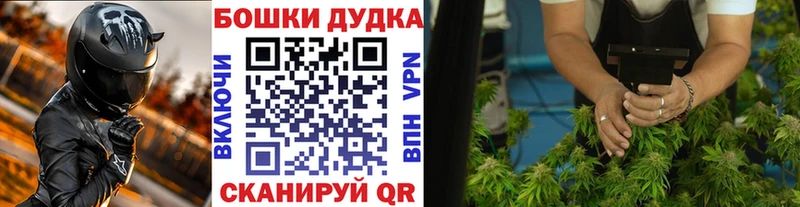 Каннабис гибрид  MEGA   Мензелинск  закладки 